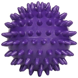 Massage Ball masážní míč fialová