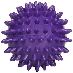 Massage Ball masážní míč fialová